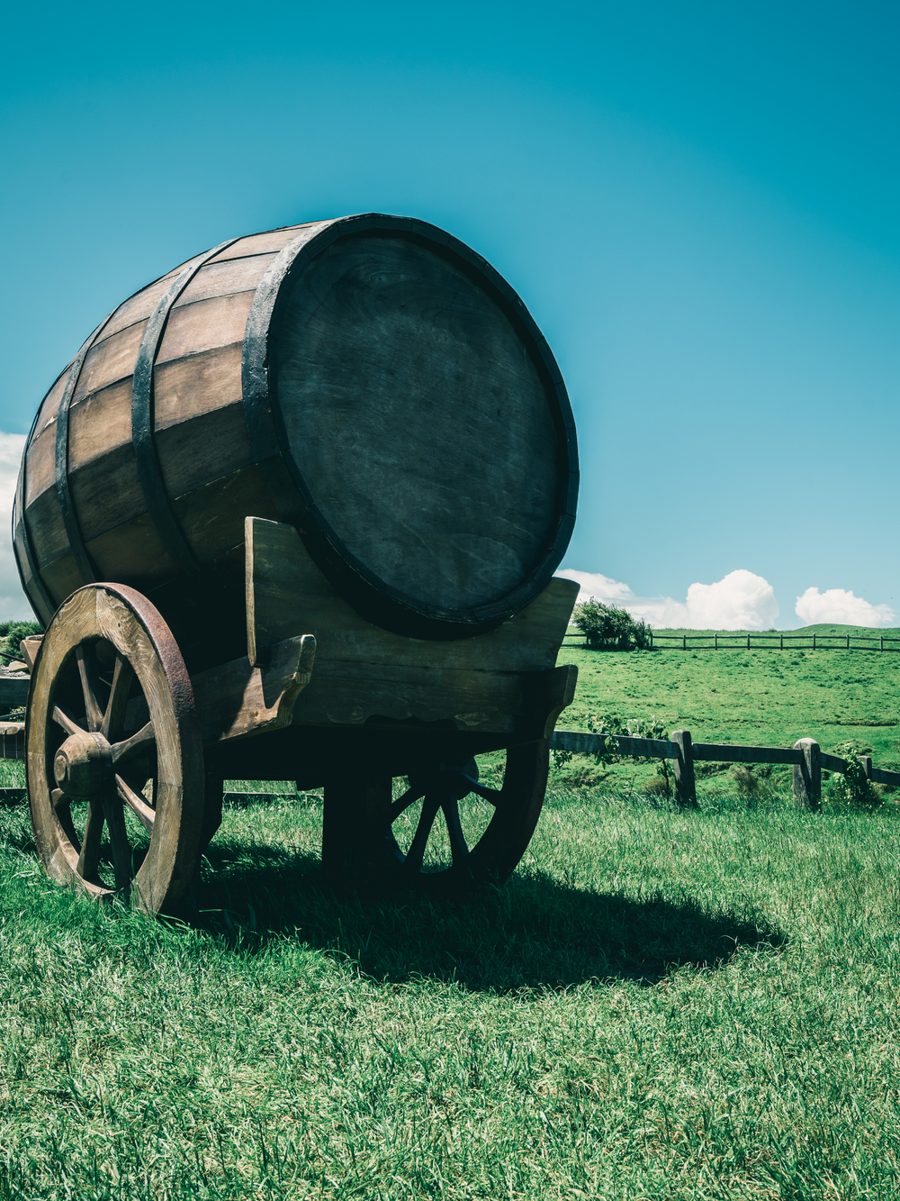 鄉(xiāng)野釀酒 葡萄酒桶、有機農(nóng)業(yè)與酒精飲料的和諧圖景